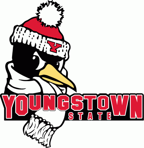 Youngstown State Penguins 1993-2005 Primary Logo DIY iron on transfer (heat transfer)